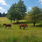 Przystanek Patulskie Pierszczewo