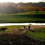 Przystanek Patulskie * Pierszczewo
