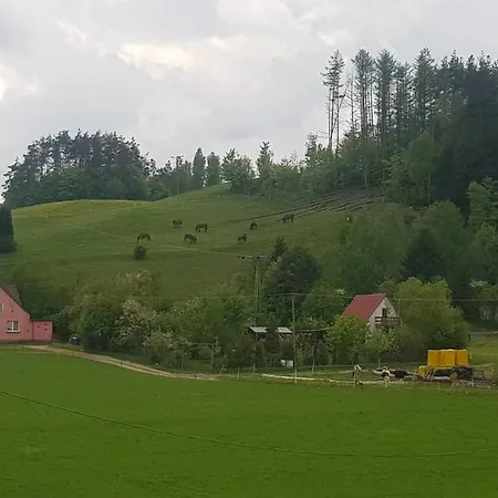 Przystanek Patulskie Pierszczewo