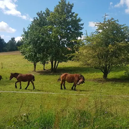 Przystanek Patulskie Pierszczewo