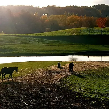 Przystanek Patulskie * Pierszczewo