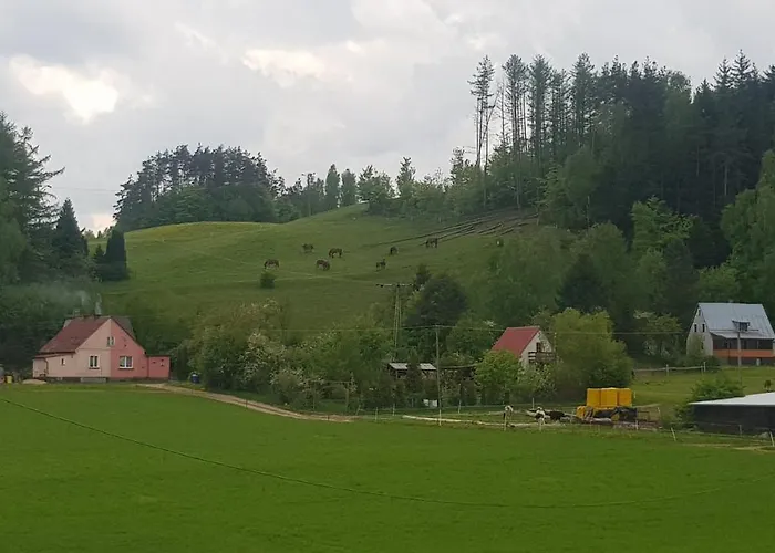 Przystanek Patulskie Pierszczewo