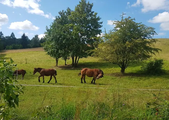 Przystanek Patulskie Pierszczewo