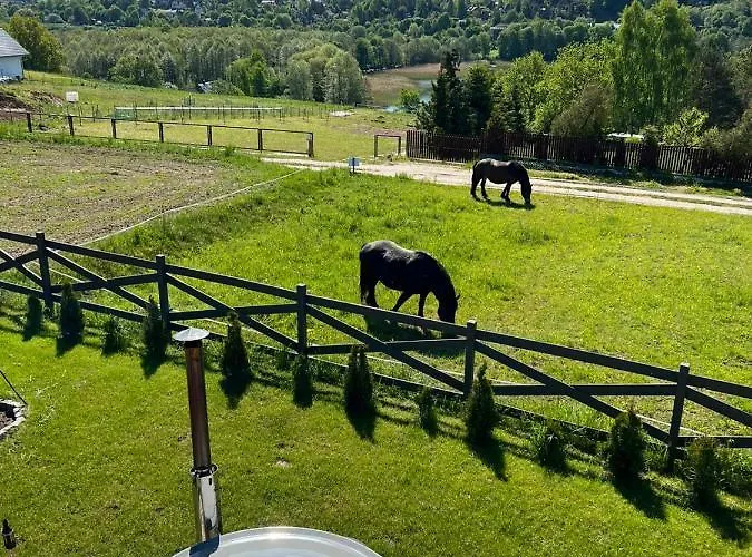 Przystanek Patulskie Semesterbostad *
